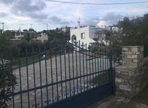 Μονοκατοικία για ενοικίαση Μπούρος (Κάρυστος) 200 τ.μ. 2 Υπνοδωμάτια
