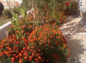 Διαμέρισμα προς πώληση Φλογητά (Μουδανιά) 50 τ.μ. 2 Υπνοδωμάτια