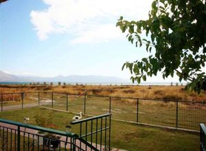 Detached House, Oropos