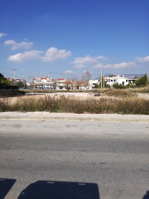 Photo 126832166
