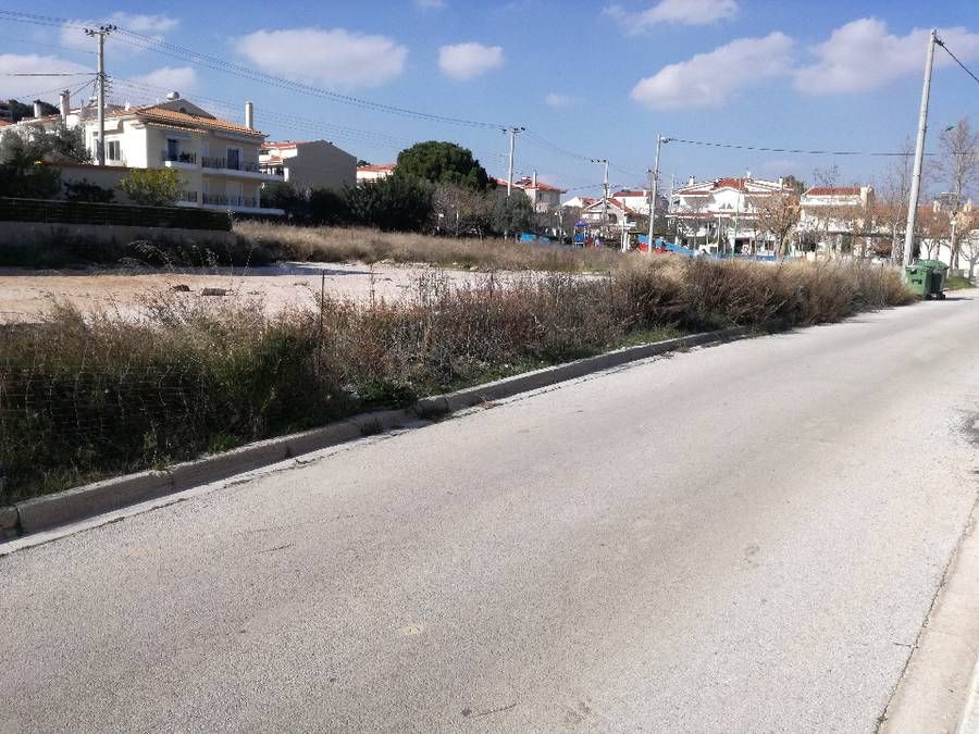 Photo 126833594