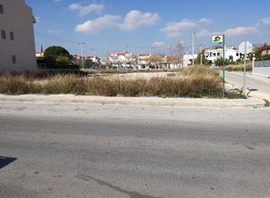 Photo 126833597