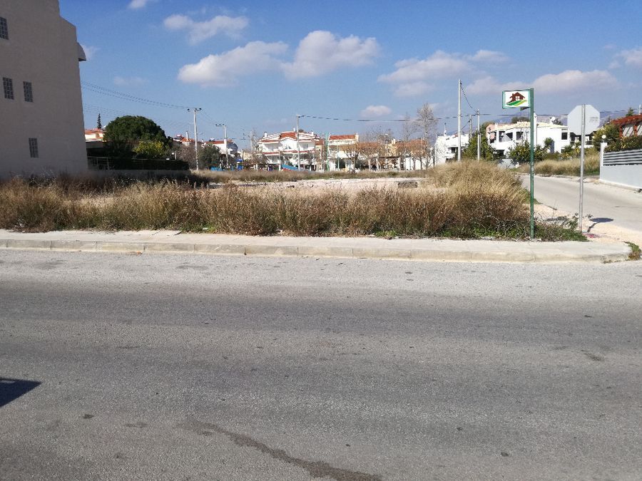 Photo 126833597