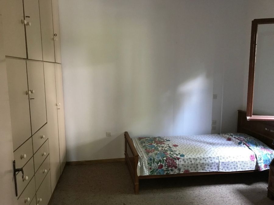 Photo 127138463