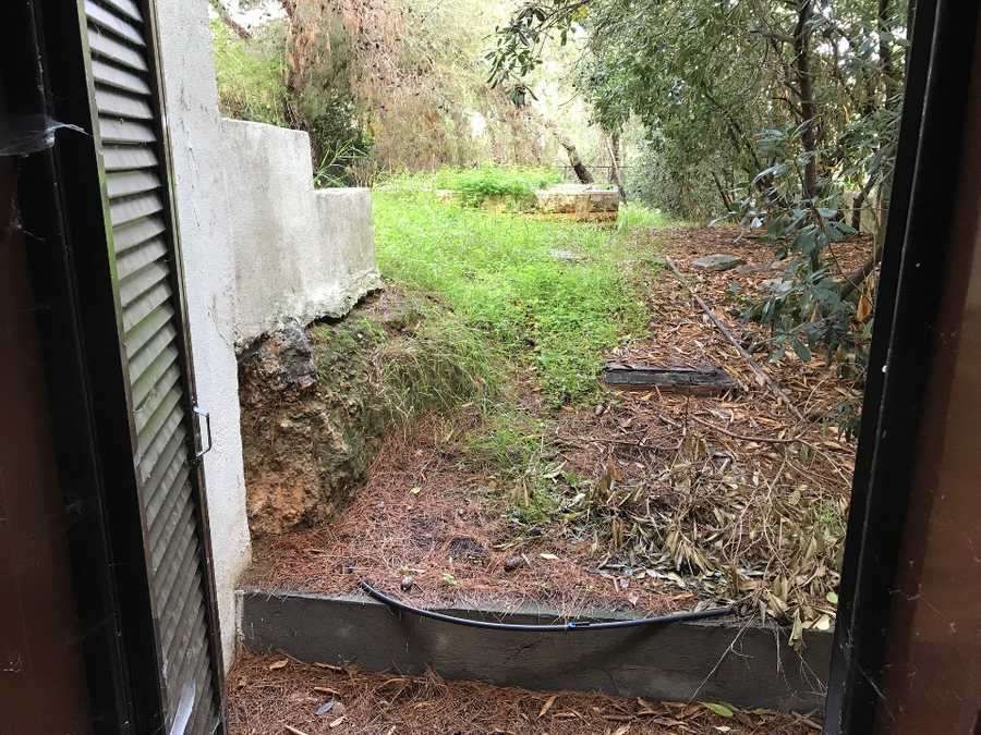 Photo 127138487