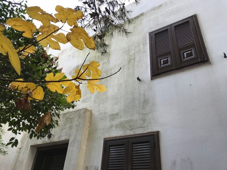 Photo 127138490