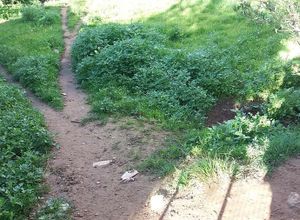 Land Plot, Agia Kiriaki