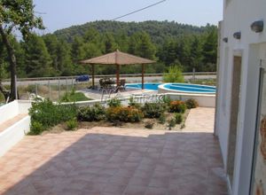 Διαμέρισμα, Παλιούρι