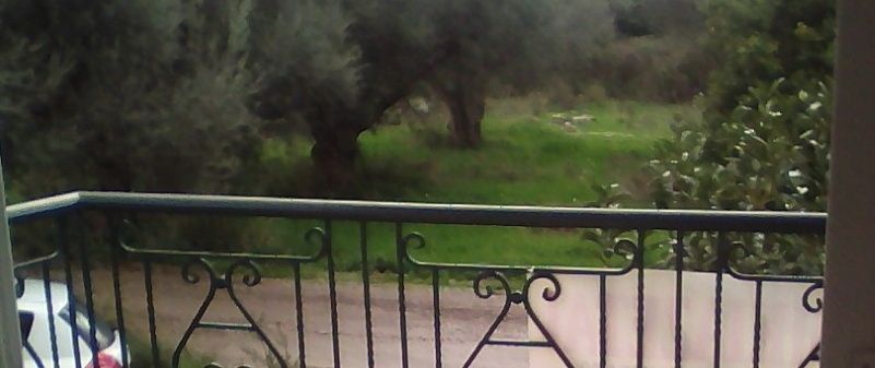 Photo 128335820