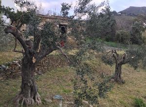 Διαμέρισμα προς πώληση Καλύβια (Κάρυστος) 175 τ.μ. 2 Υπνοδωμάτια