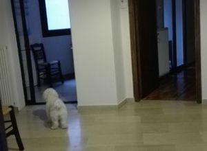 Studio/Γκαρσονιέρα, Άνω Τούμπα