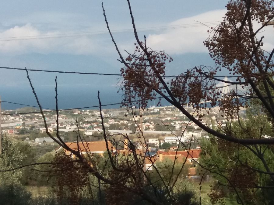 Photo 128904956
