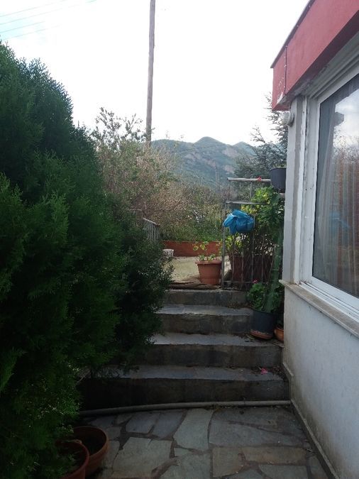 Photo 128904980