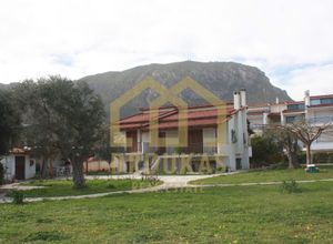 Μονοκατοικία προς πώληση Ελαιώνας (Διακοπτό) 200 τ.μ. 4 Υπνοδωμάτια Νεόδμητο