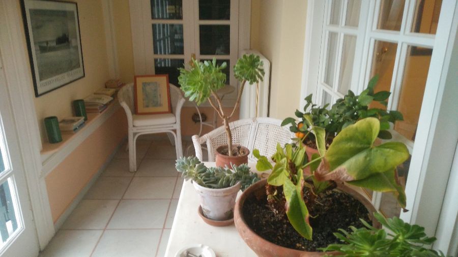 Photo 129473555