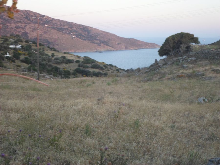 Plot Andros