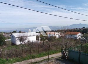 Μονοκατοικία προς πώληση Αγία Τριάδα (Θερμαϊκός) 36 τ.μ. 1 Υπνοδωμάτιο Νεόδμητο
