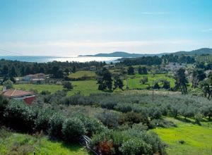 Rent, Maisonette, Pefkochori (Pallini)