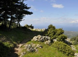 Οικόπεδο προς πώληση Λουτράκι-Περαχώρα 596.000 τ.μ.