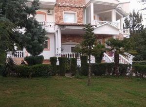 Μεζονέτα προς πώληση Καρδίτσα 300 τ.μ. 1 Υπνοδωμάτιο