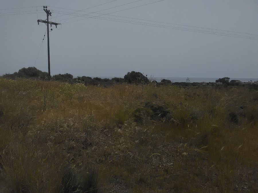 Photo 132015995