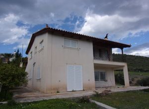 Διαμέρισμα προς πώληση Σκάλωμα (Λουτράκι-Περαχώρα) 137 τ.μ. 3 Υπνοδωμάτια