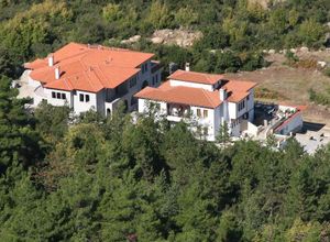 Ξενοδοχείο προς πώληση Κέντρο (Βελβεντός) 2.000 τ.μ.