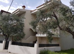 Διαμέρισμα προς πώληση Φούρκα (Κασσάνδρα) 82 τ.μ. 2 Υπνοδωμάτια Νεόδμητο