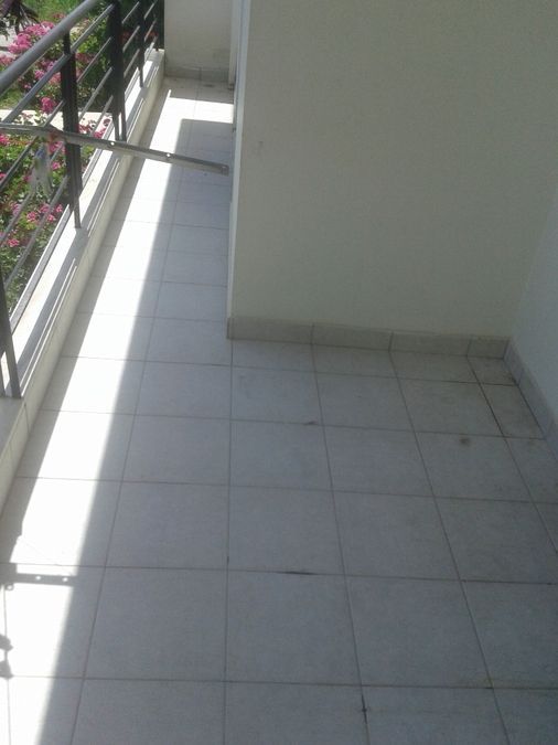 Photo 133009784