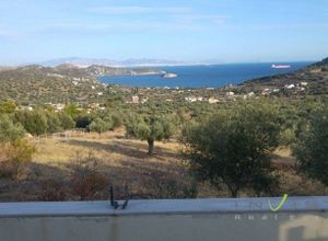 Μονοκατοικία προς πώληση Αιάντειο (Σαλαμίνα) 60 τ.μ. 1 Υπνοδωμάτιο