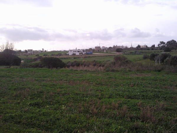 Photo 1342943