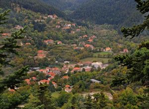 Land Plot, Zarouchla