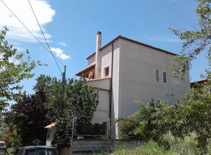 Μονοκατοικία προς πώληση Νυμφών (Άγιος Στέφανος) 260 τ.μ. 1 Υπνοδωμάτιο