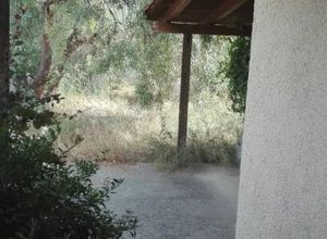Μονοκατοικία προς πώληση Λιβαδειά 178 τ.μ. 3 Υπνοδωμάτια