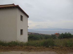 Συγκρότημα προς πώληση Άμπελος (Ακράτα) 361 τ.μ. 7 Υπνοδωμάτια Νεόδμητο