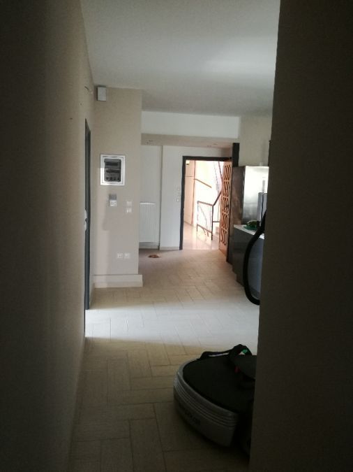 Photo 137157296