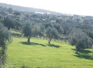 Αγροτεμάχιο, Σκάλα Λουτρών