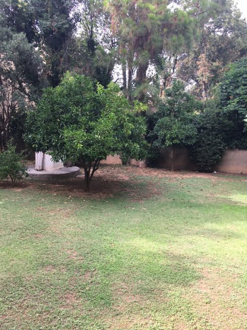Photo 137448872