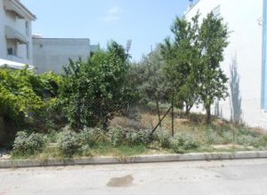 Land Plot, Nea Dimitriada