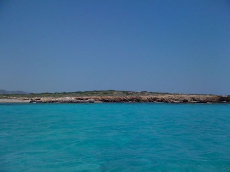 Photo 13770530