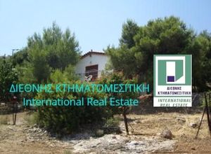 Μονοκατοικία προς πώληση Πάχη (Μέγαρα) 32 τ.μ. 1 Υπνοδωμάτιο