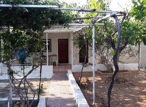 Μονοκατοικία προς πώληση Μεσοβάρδα (Αρτέμιδα (Λούτσα)) 60 τ.μ. 2 Υπνοδωμάτια