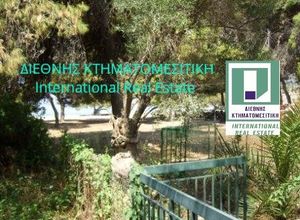 Μονοκατοικία προς πώληση Ψάθα (Βίλια) 50 τ.μ. 1 Υπνοδωμάτιο