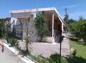 Μονοκατοικία, Πιπερίτσα