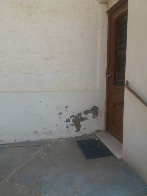 Photo 141022454