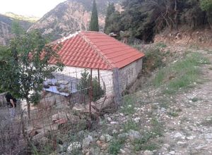Μονοκατοικία προς πώληση Μεσοχώρι (Ερίνεο) 47 τ.μ. 1 Υπνοδωμάτιο