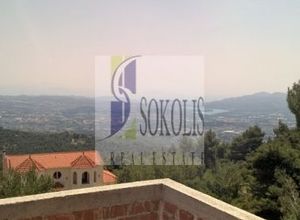 Μονοκατοικία προς πώληση Αγία Τριάδα (Αφίδνες) 300 τ.μ. 1 Υπνοδωμάτιο