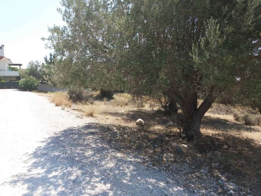 Photo 143848985