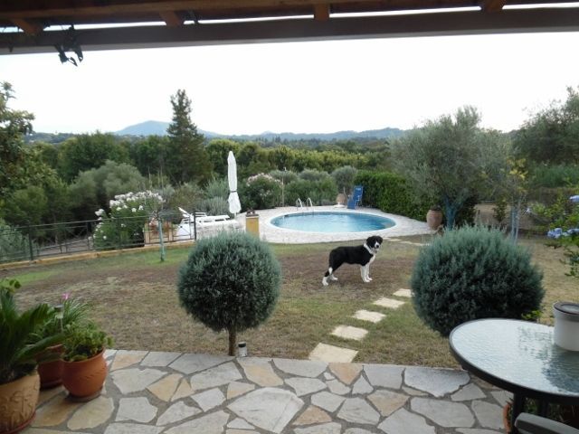 Photo 144034058