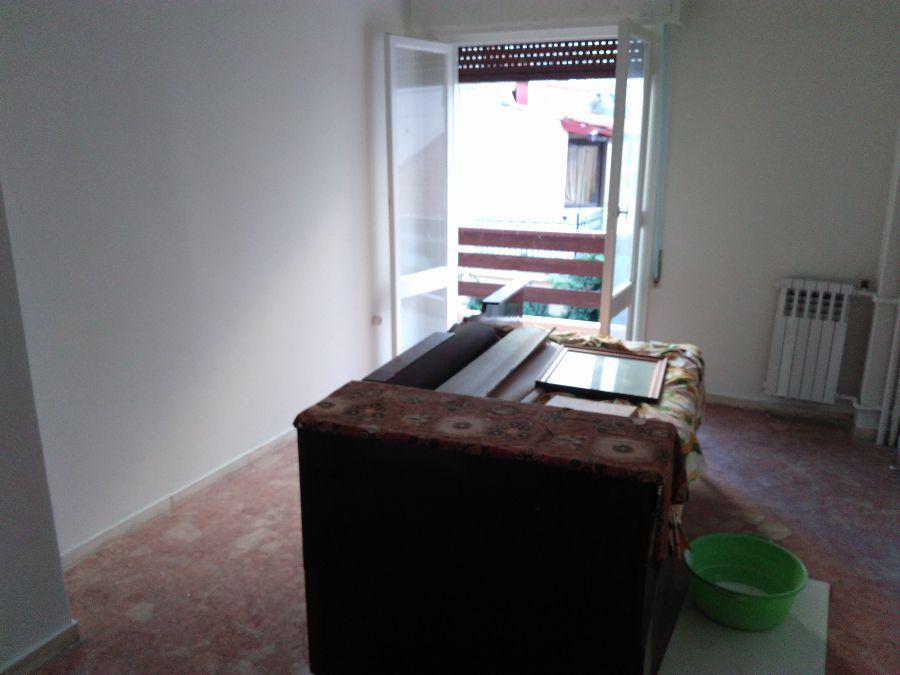 Photo 144170036